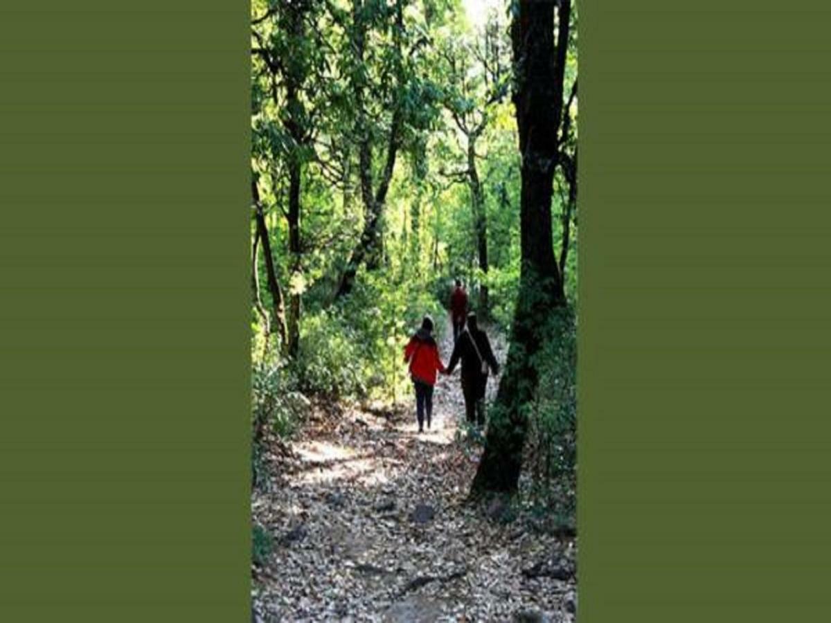 Jungle Lore Birding Lodge Nainital Buitenkant foto