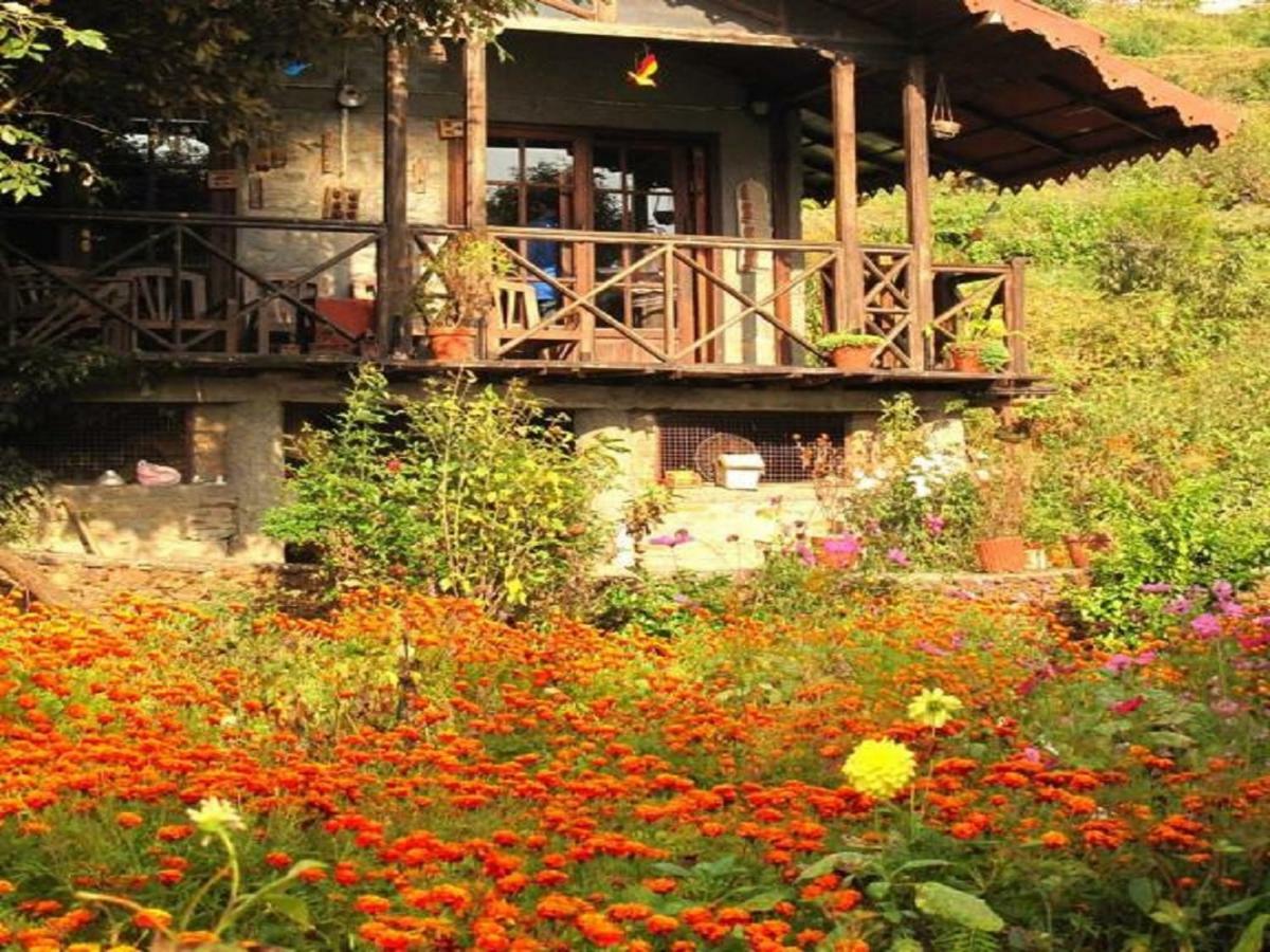 Jungle Lore Birding Lodge Nainital Buitenkant foto